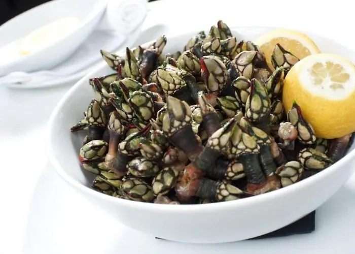 Charles House - Baleal Ferrel (Leiria)